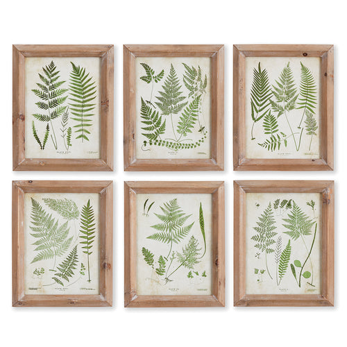 Assorted Frond Study Petite Wall Art Set of 6