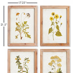 Golden Wildflower Study Wall Art Set of 4