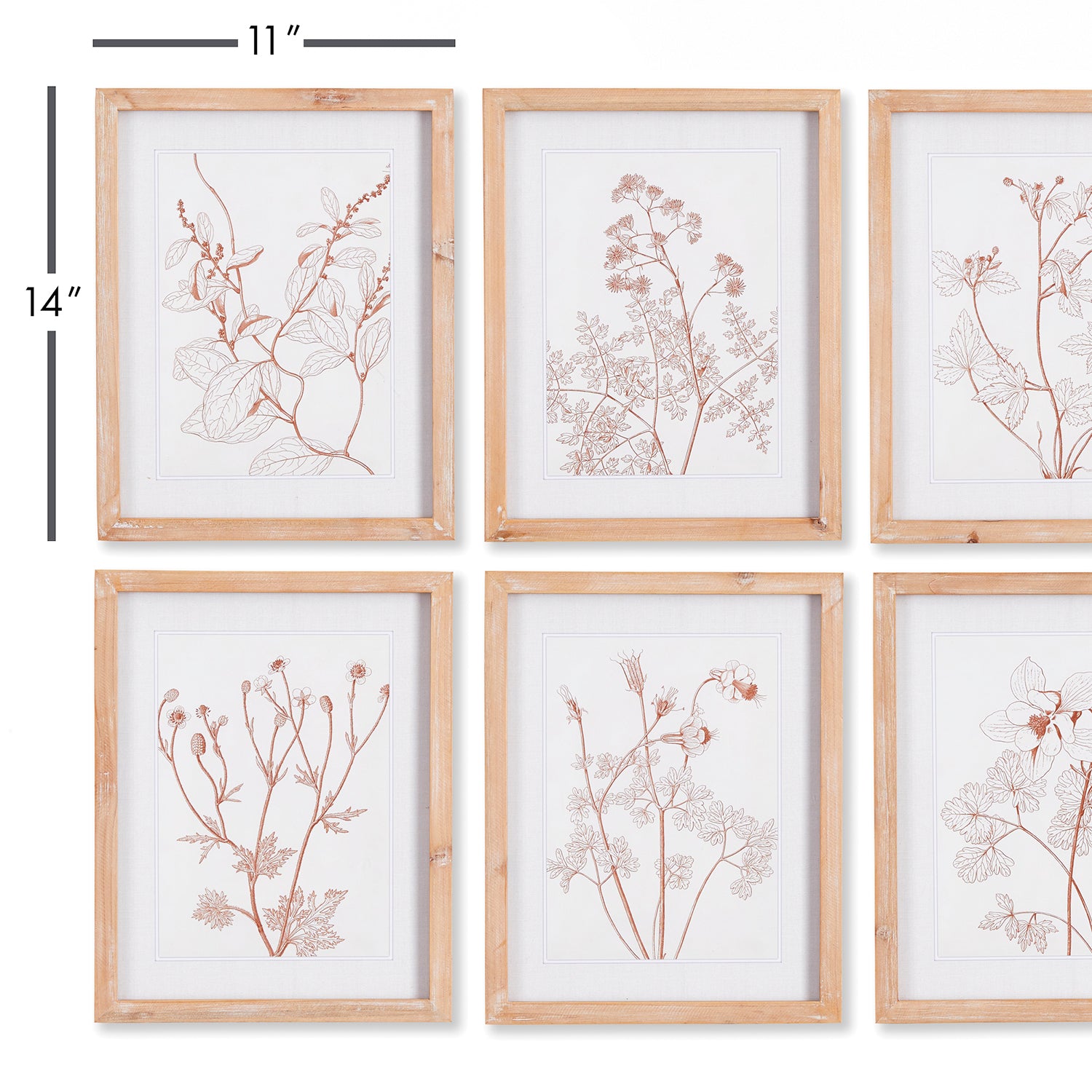 Botanicals In Blush Print Wall Art Set of 6