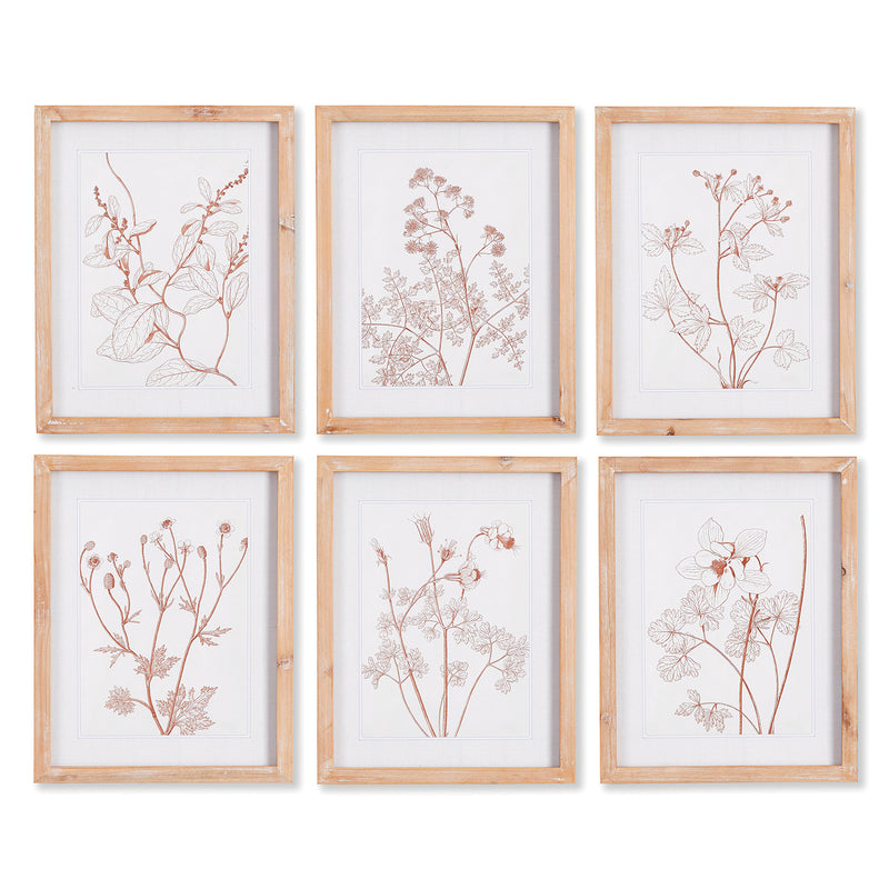 Botanicals In Blush Print Wall Art Set of 6