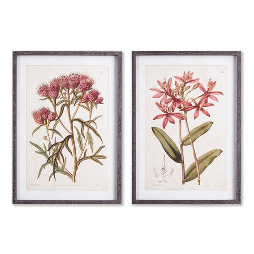 Pretty In Pink Vintage Wall Art Set of 2