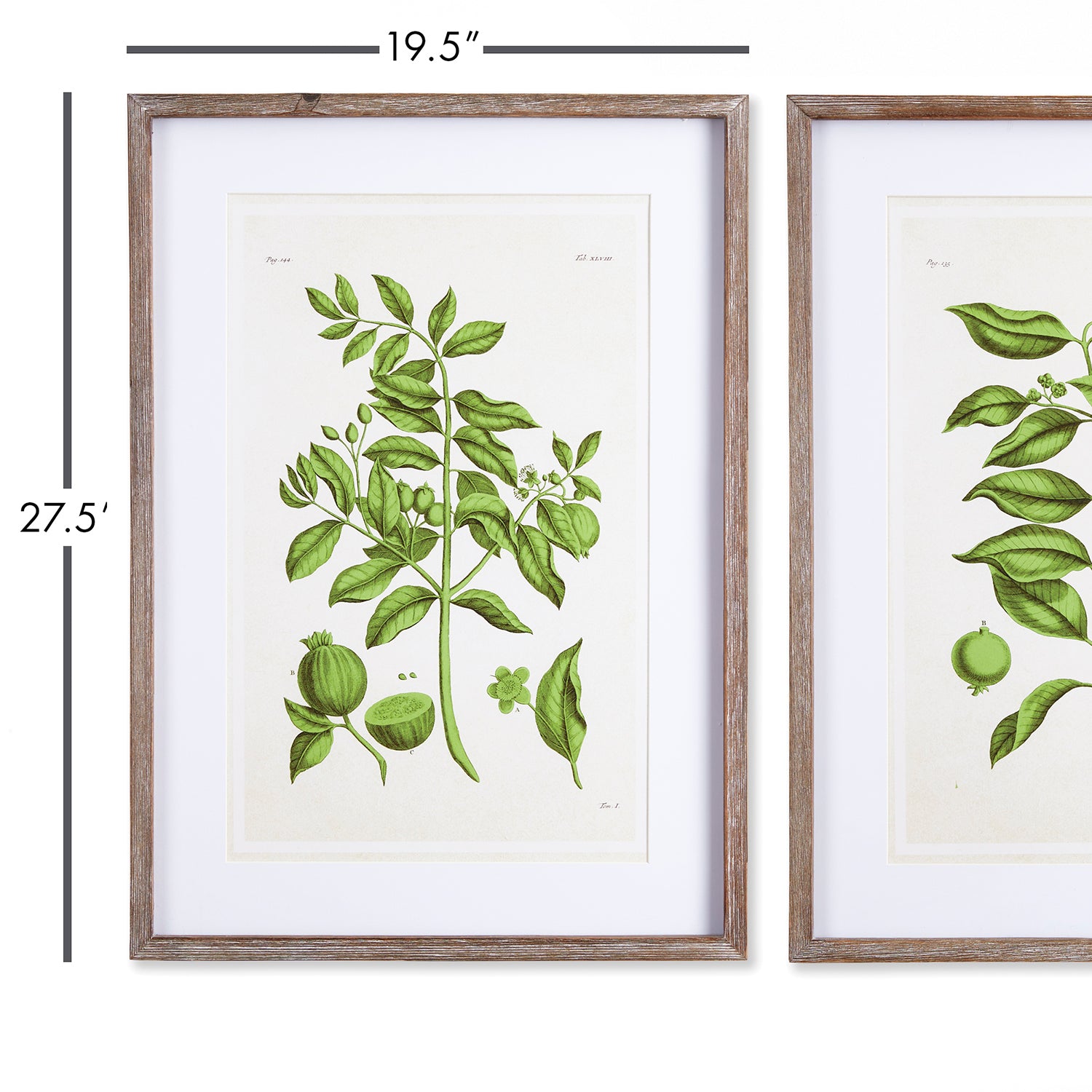 Guava Print Wall Art Set of 2