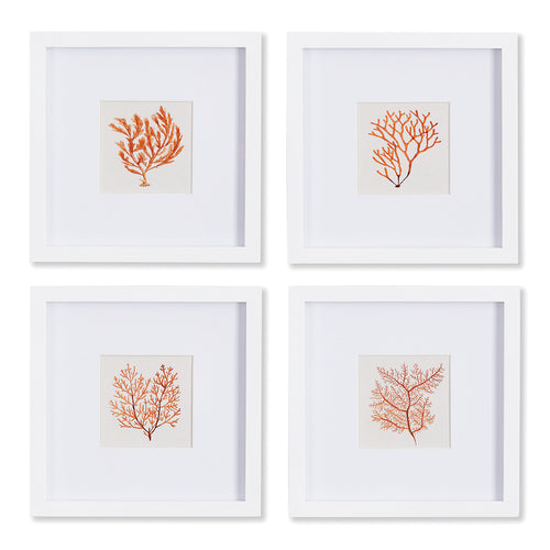 Branch Coral Petite Print Wall Art Set of 4