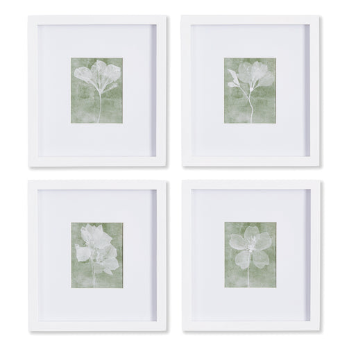 Translucent Floral Petite Wall Art Set of 4