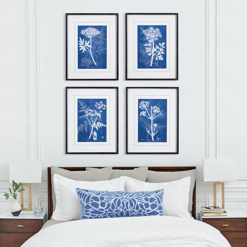 Cyanotype Queen Annes Lace Print Wall Art Set of 4