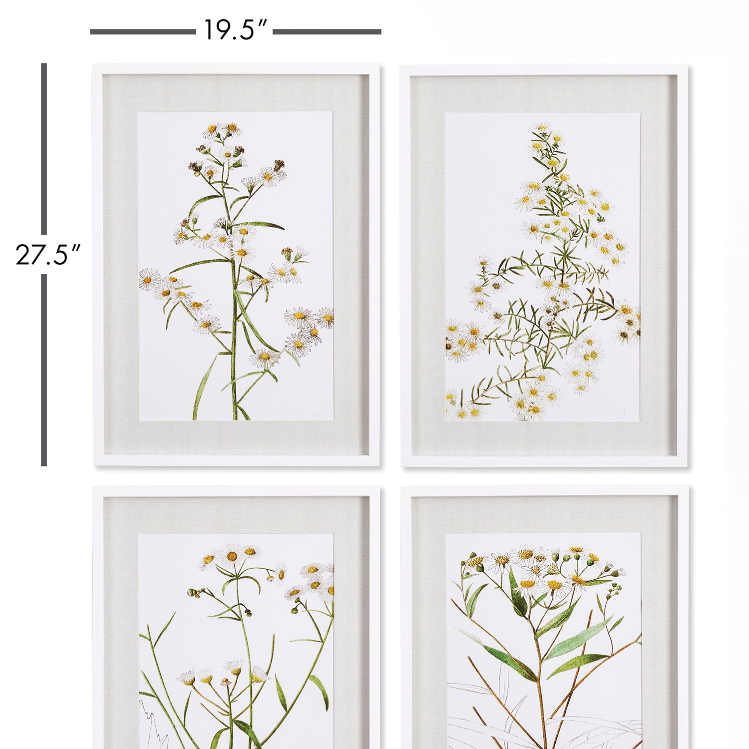 Daisy Print Wall Art Set of 4