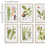 Leaf Botanical Study Wall Art Set of 6