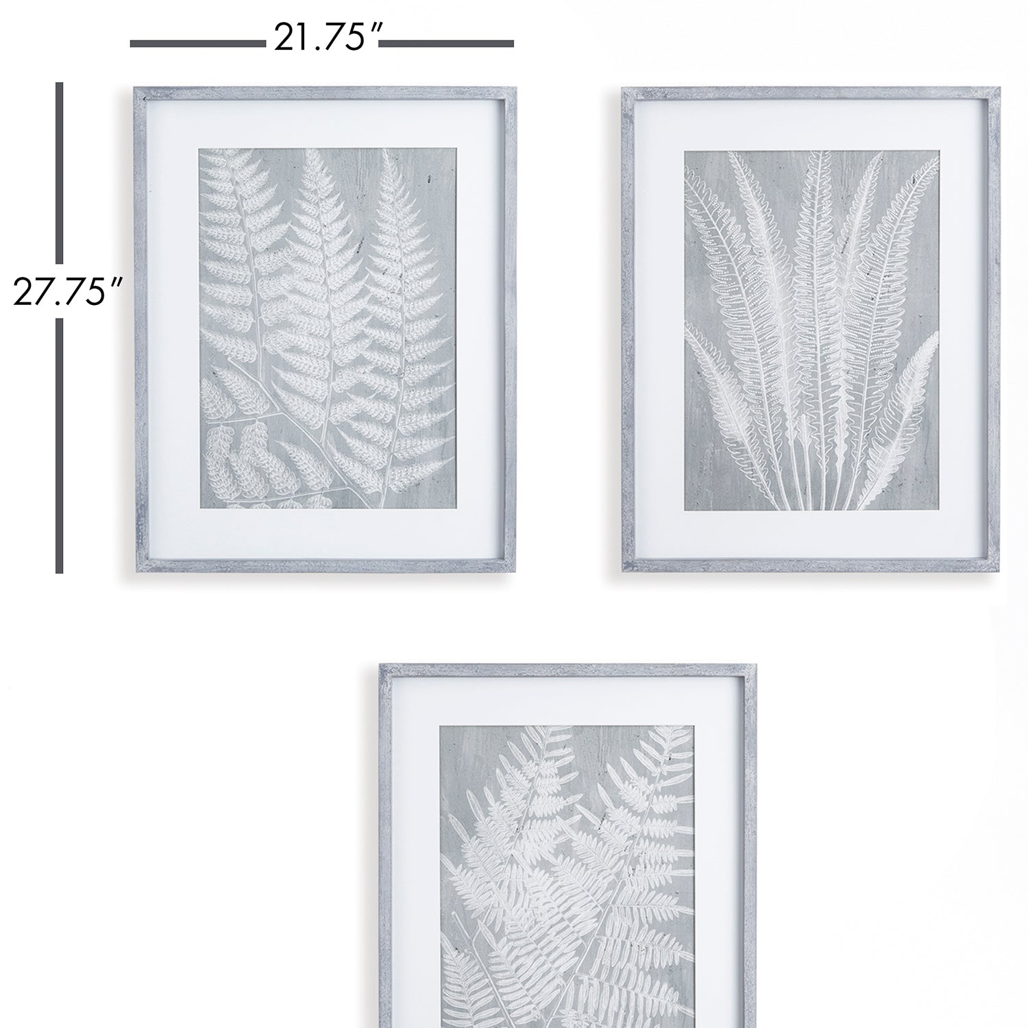 Fern Frond Print Wall Art Set of 3