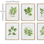 Tree Leaf Study Wall Art Set of 6
