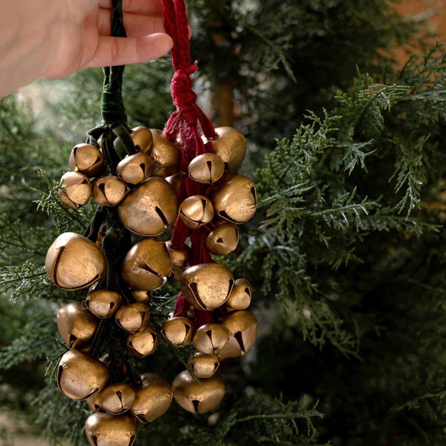 Green Velvet Jingle Bell Bunch