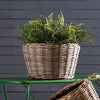 Woven Dry Basket Planter
