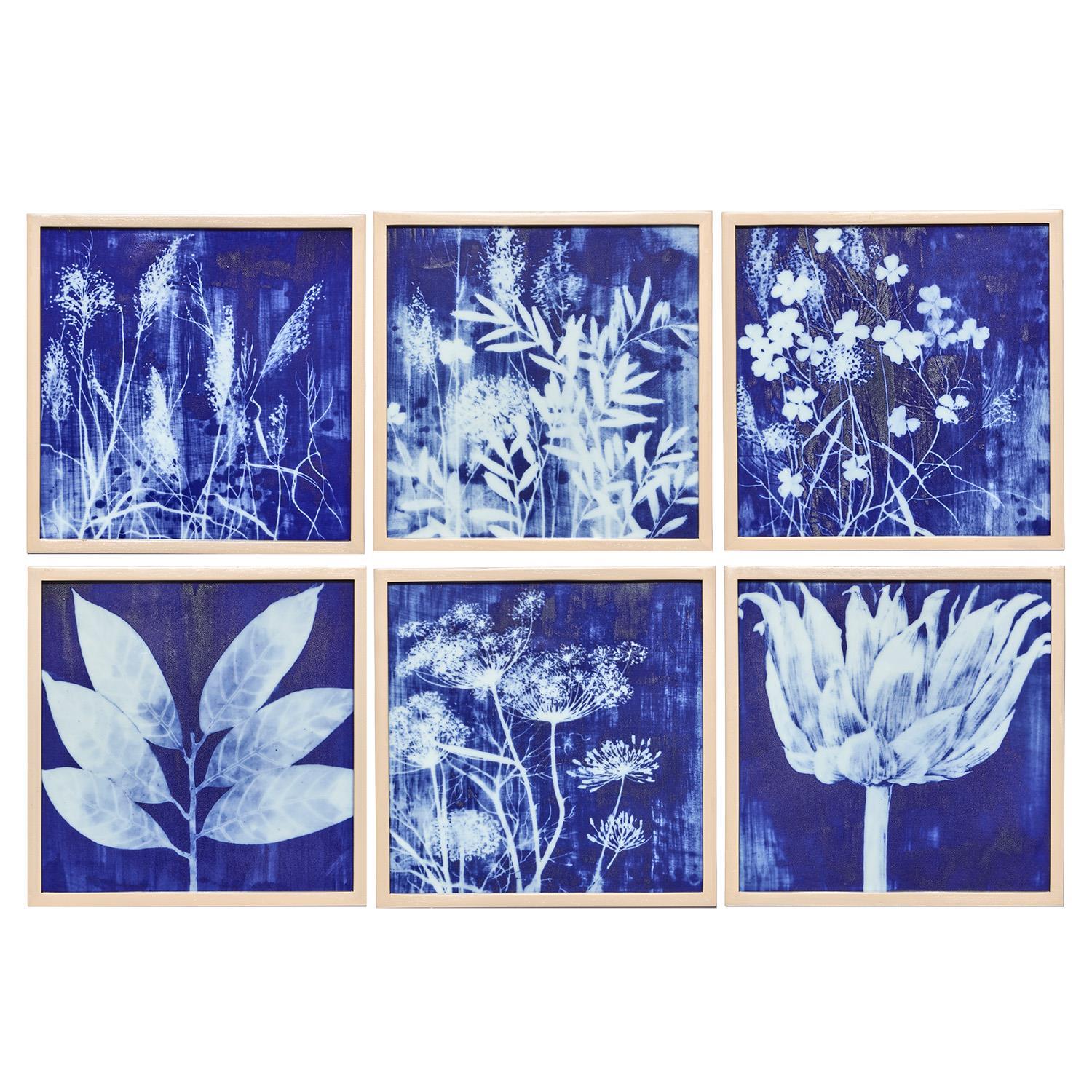 Cyanotype Botanicals Wall Art Set of 6