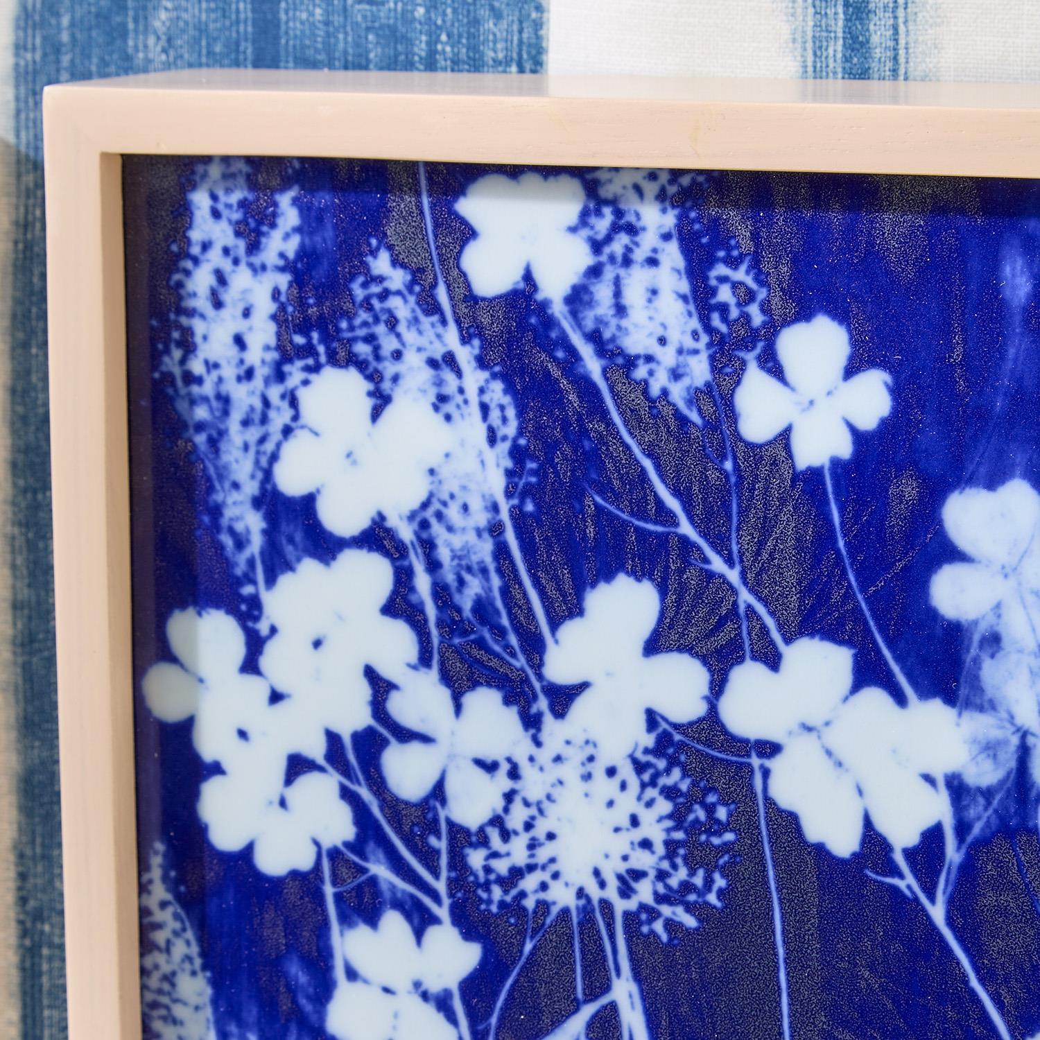 Cyanotype Botanicals Wall Art Set of 6