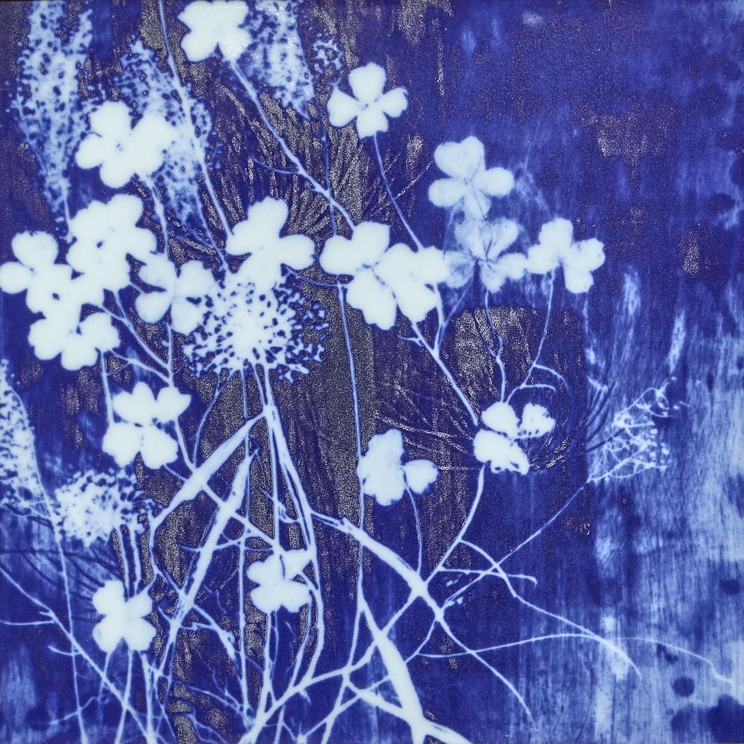 Cyanotype Botanicals Wall Art Set of 6