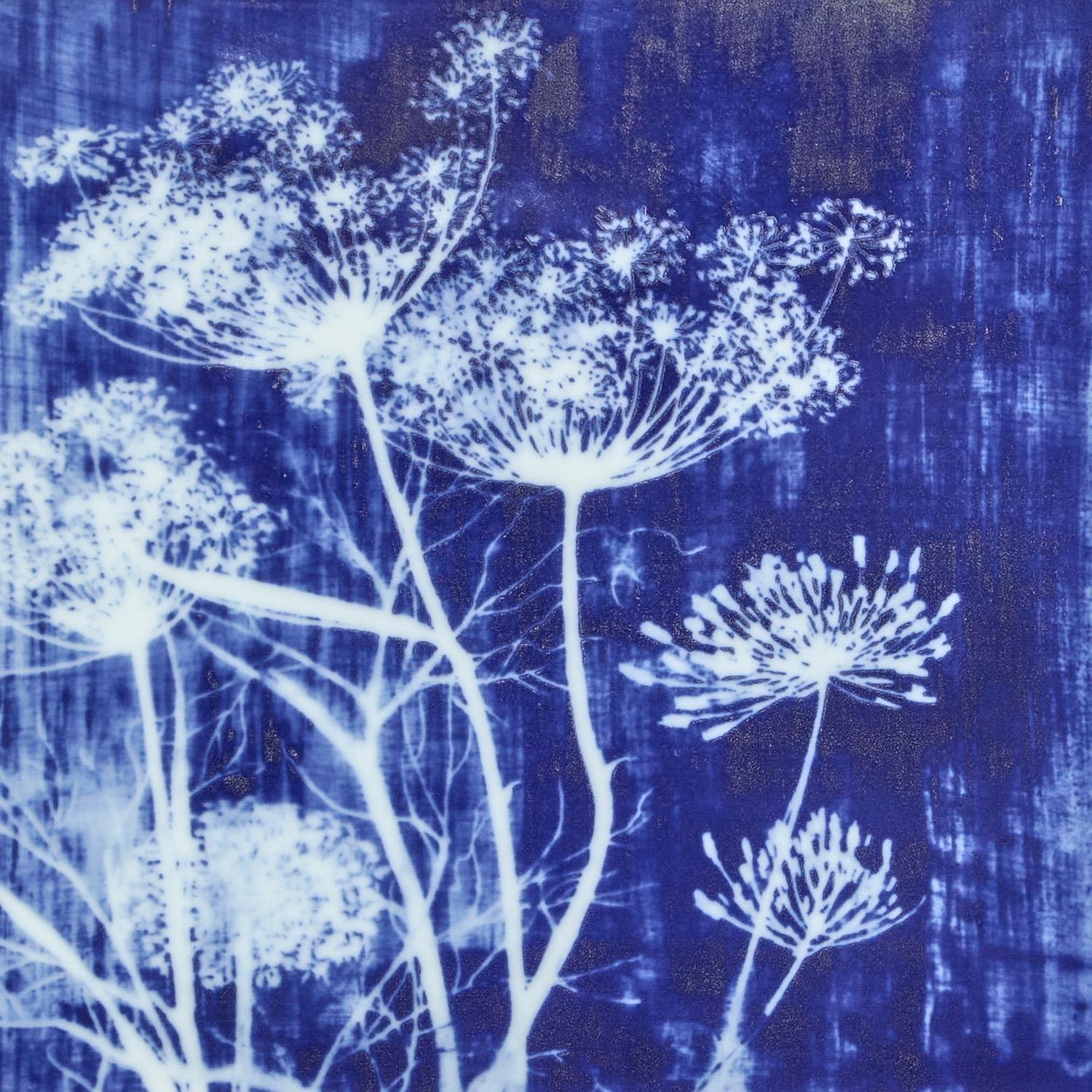 Cyanotype Botanicals Wall Art Set of 6