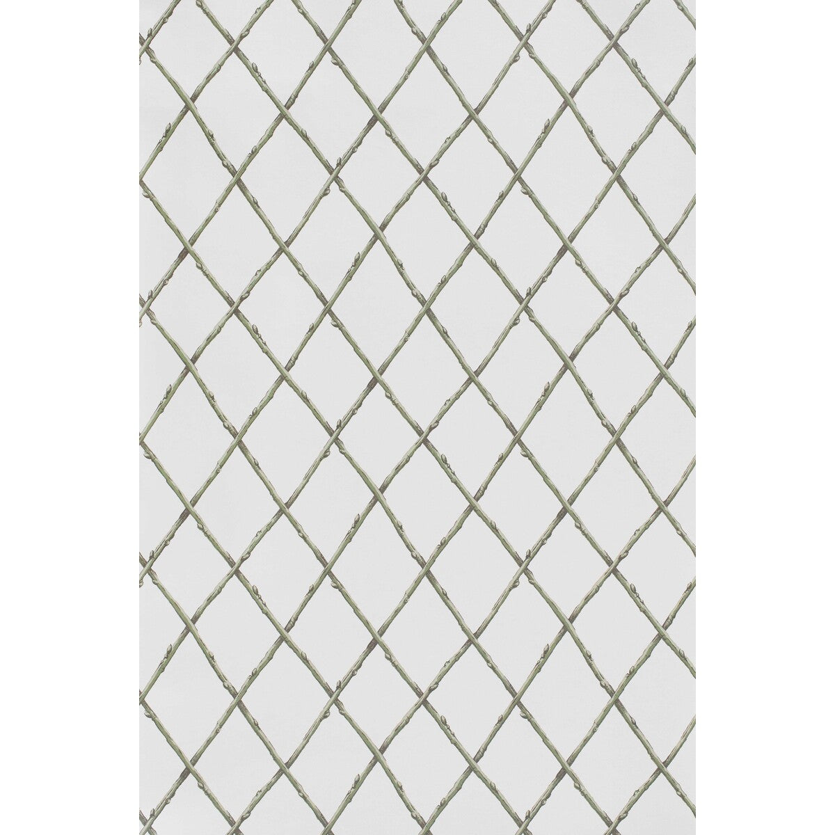 Lee Jofa Bare Twig Trellis Wp Green Wallpaper