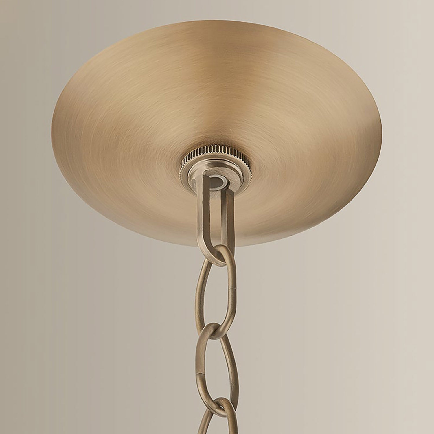 Lauren Liess x Troy Lighting Petal Pendant