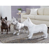 Phillips Collection French Bulldog