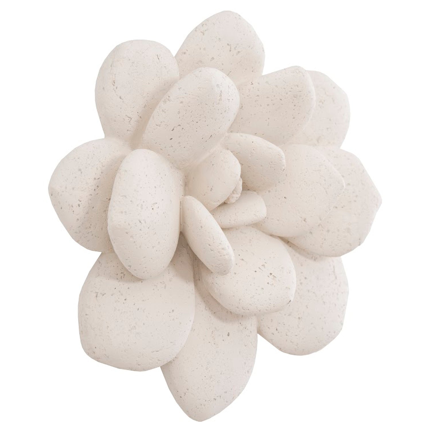 Phillips Collection Laui Succulent Wall Art