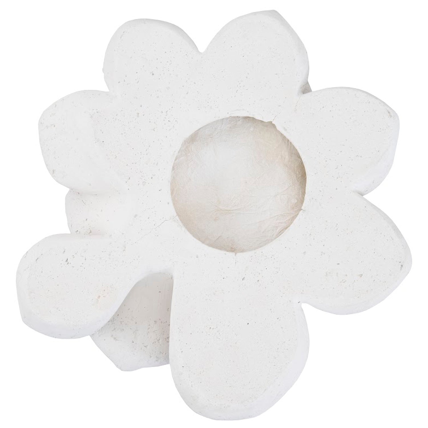 Phillips Collection Laui Succulent Wall Art