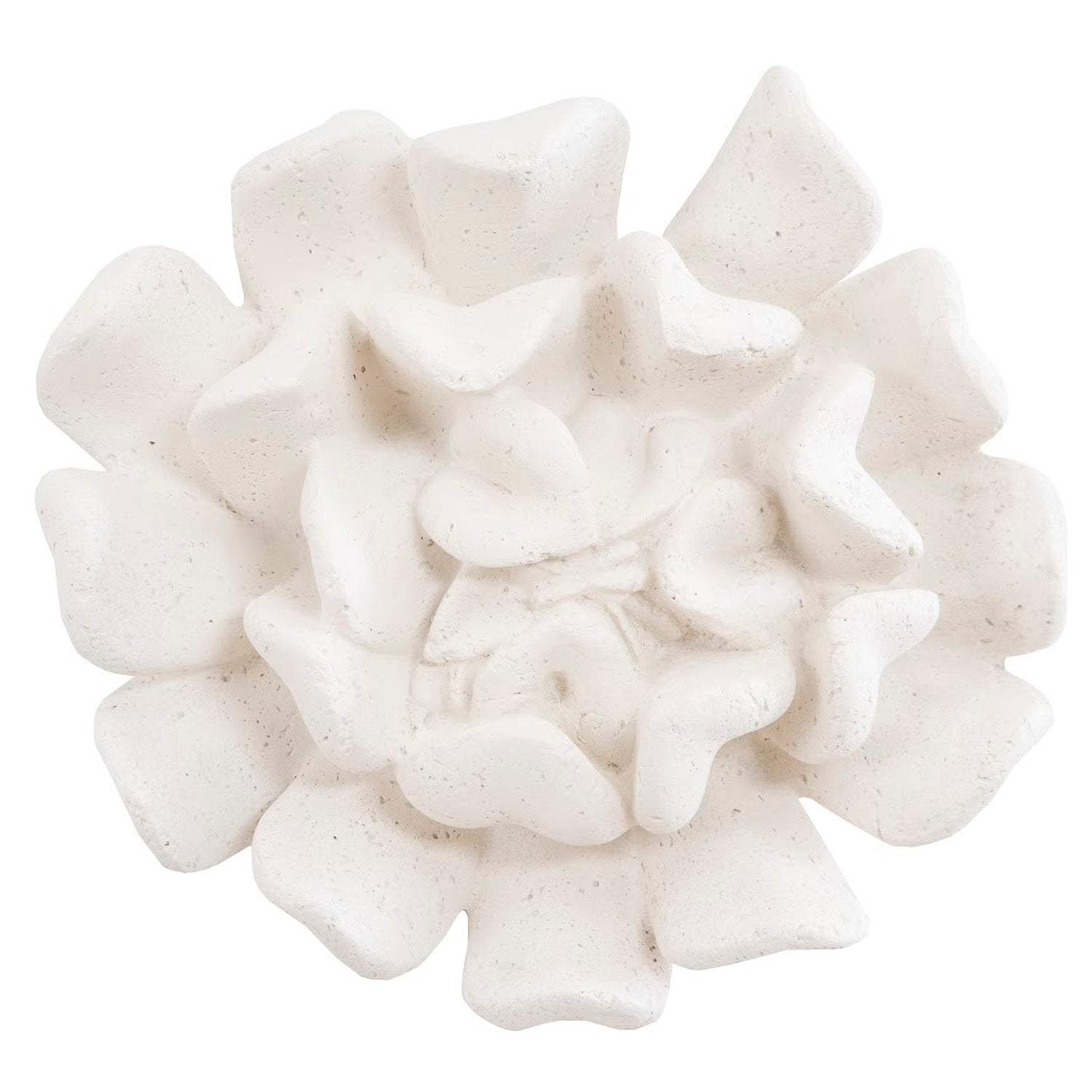 Phillips Collection Topsy Turvy Succulent Wall Art