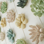 Phillips Collection Topsy Turvy Succulent Wall Art