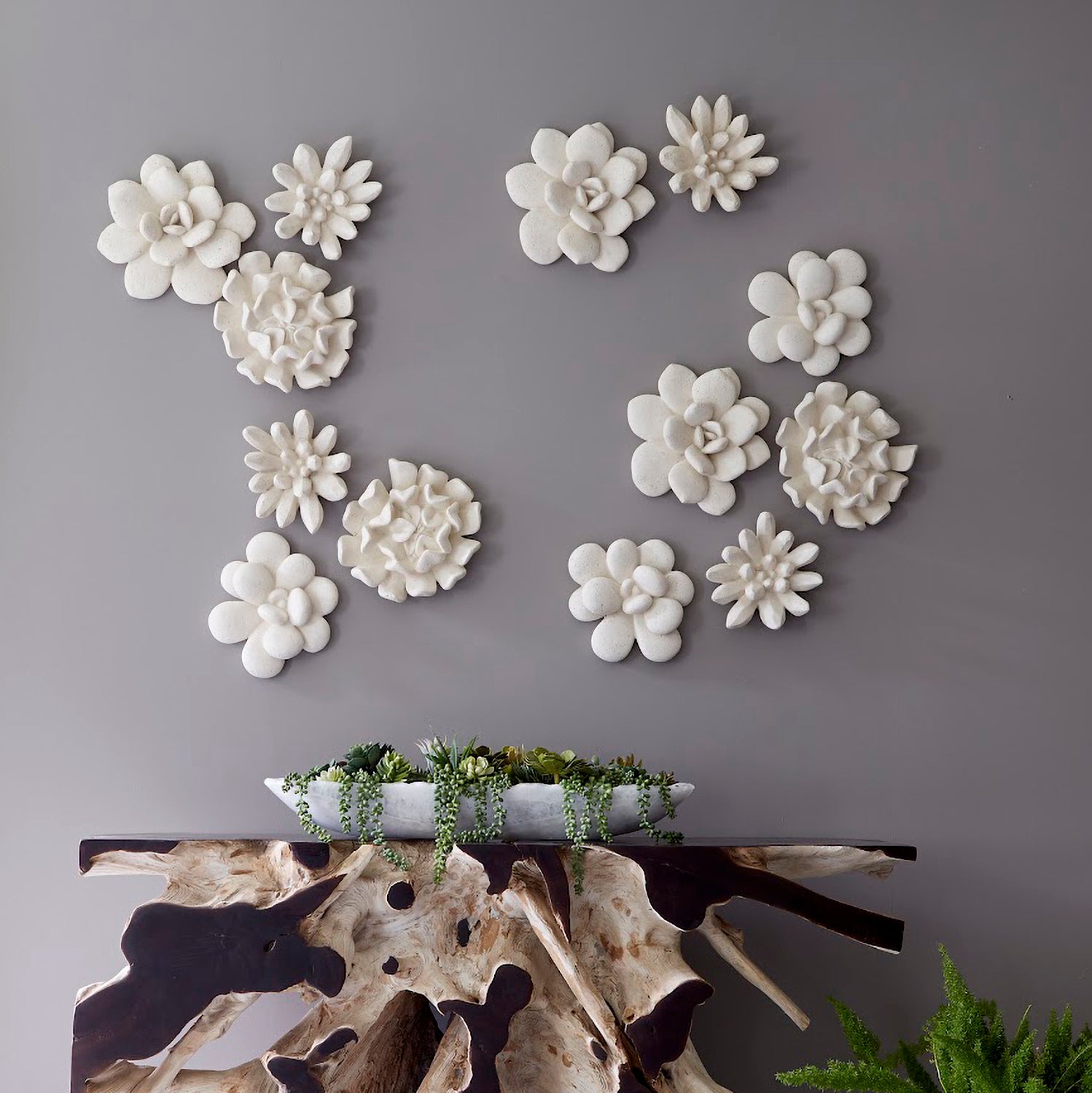 Phillips Collection Oviferum Succulent Wall Art