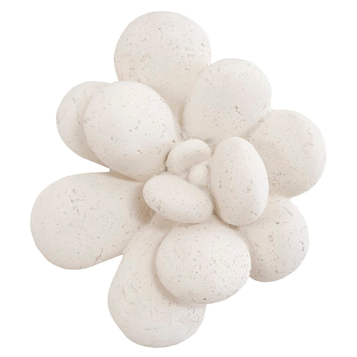 Phillips Collection Oviferum Succulent Wall Art