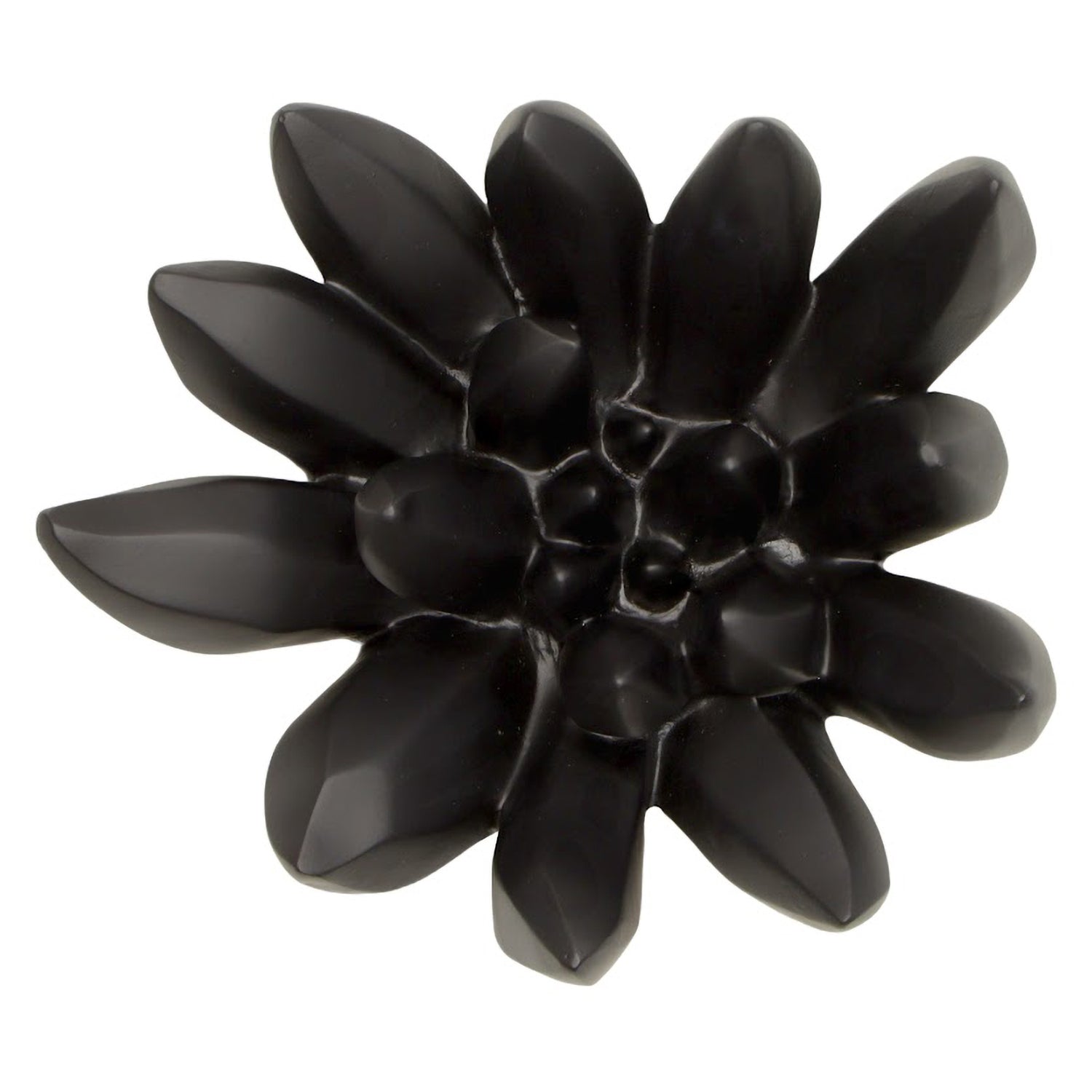 Phillips Collection Compactum Succulent Wall Art