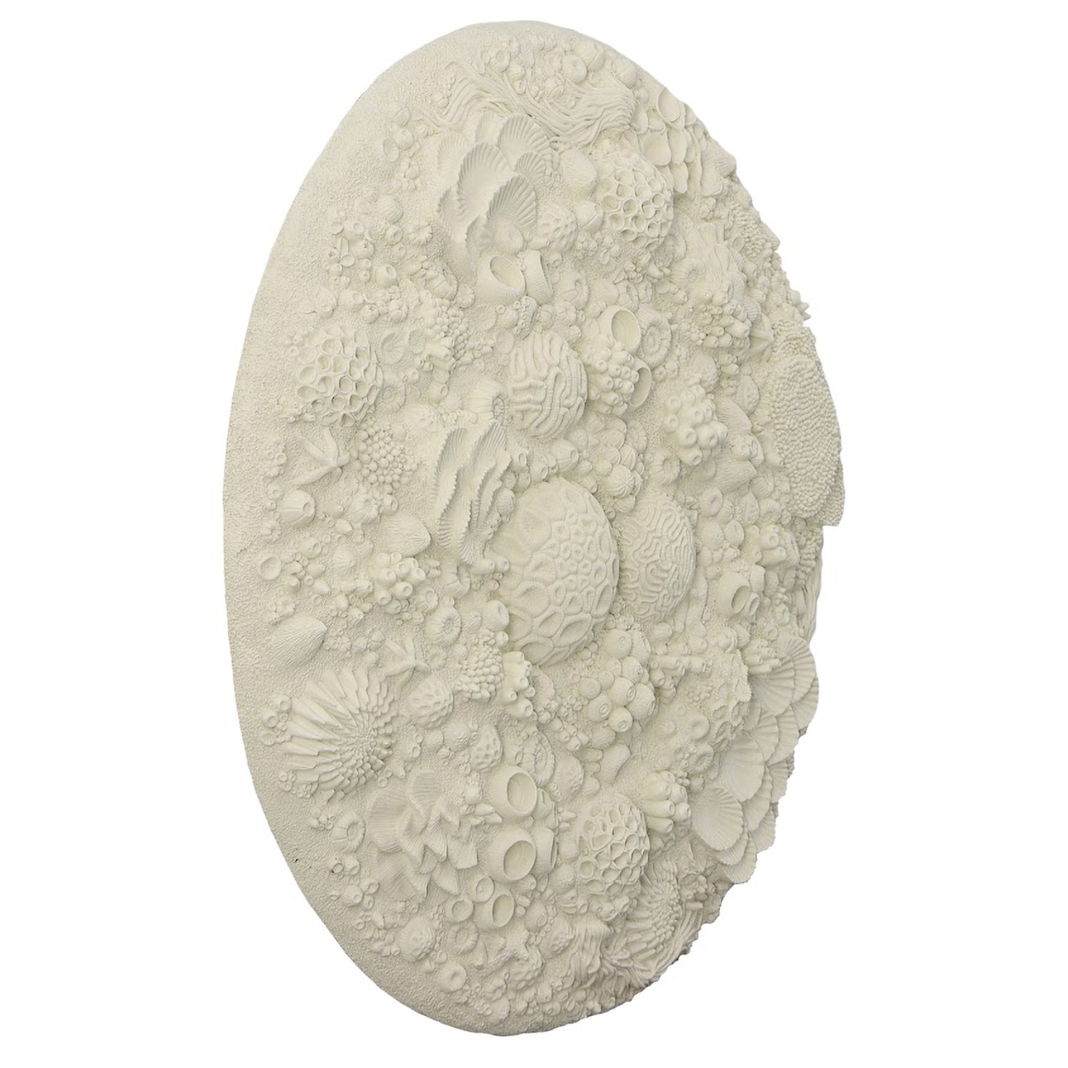 Phillips Collection Coral Reef Wall Art