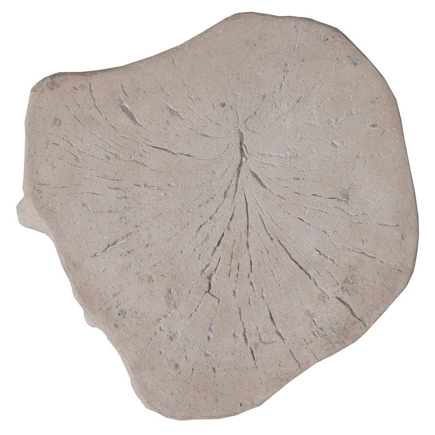 Phillips Collection Log Stool