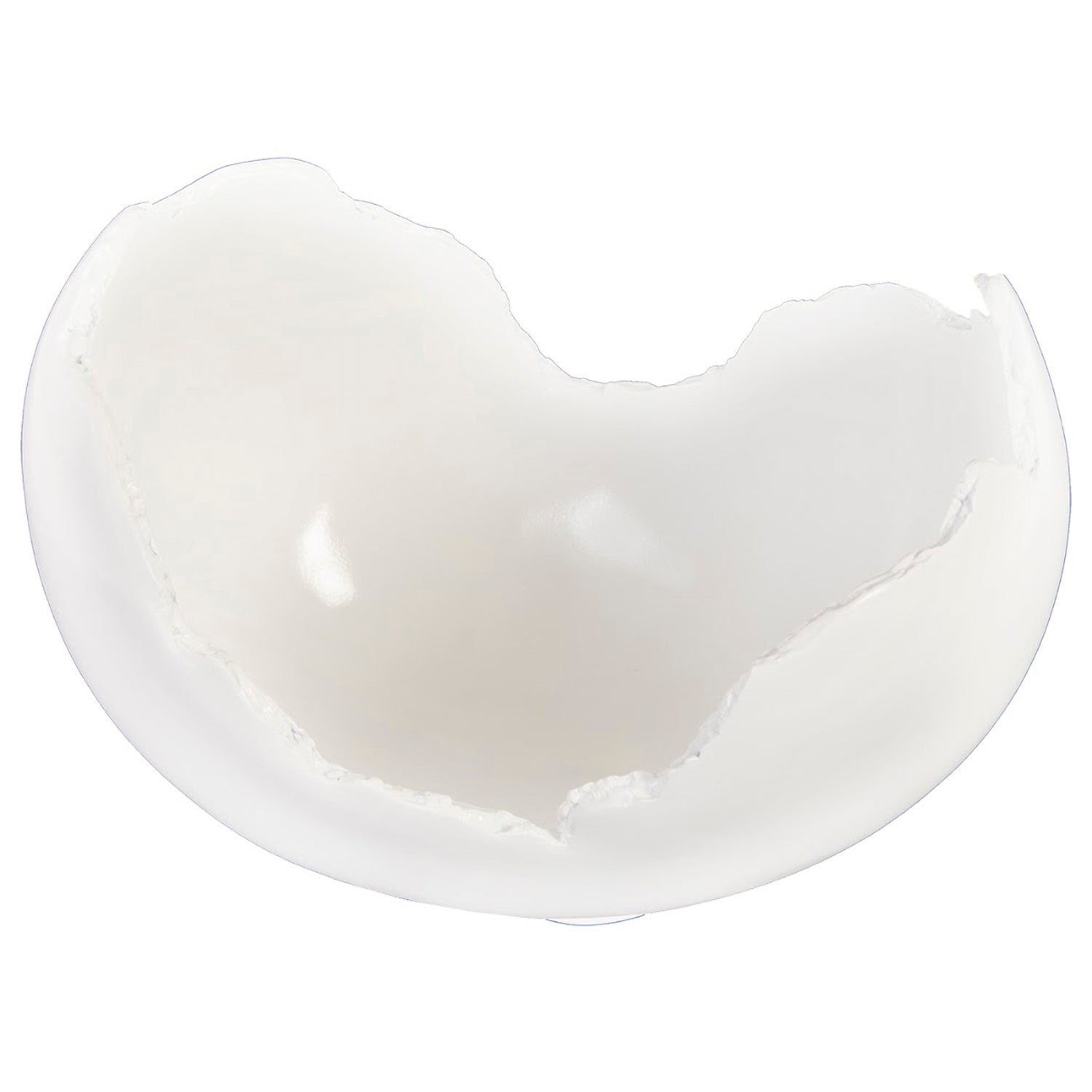 Phillips Collection Burled Bowl