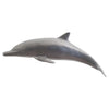 Phillips Collection Dolphin