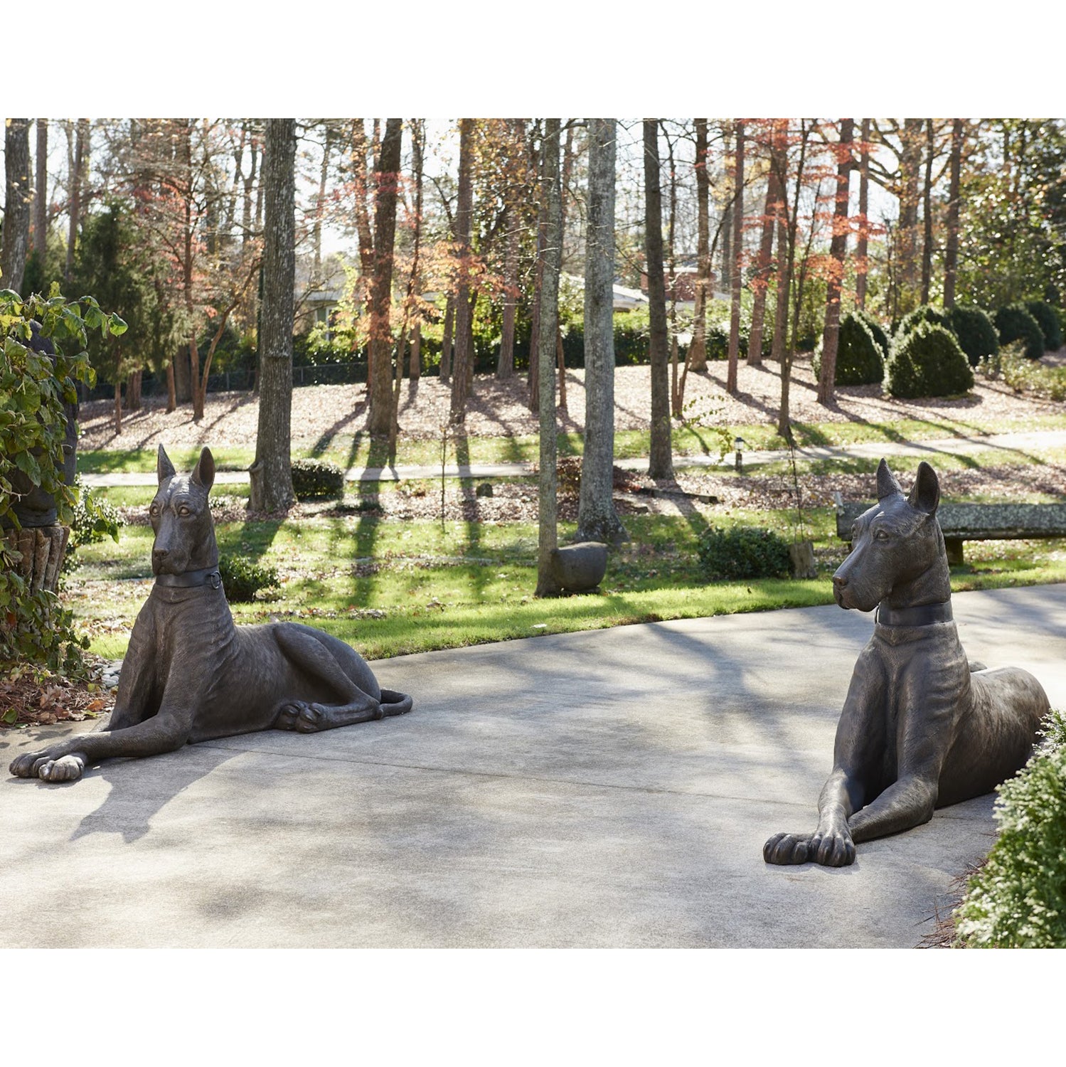 Phillips Collection Great Dane