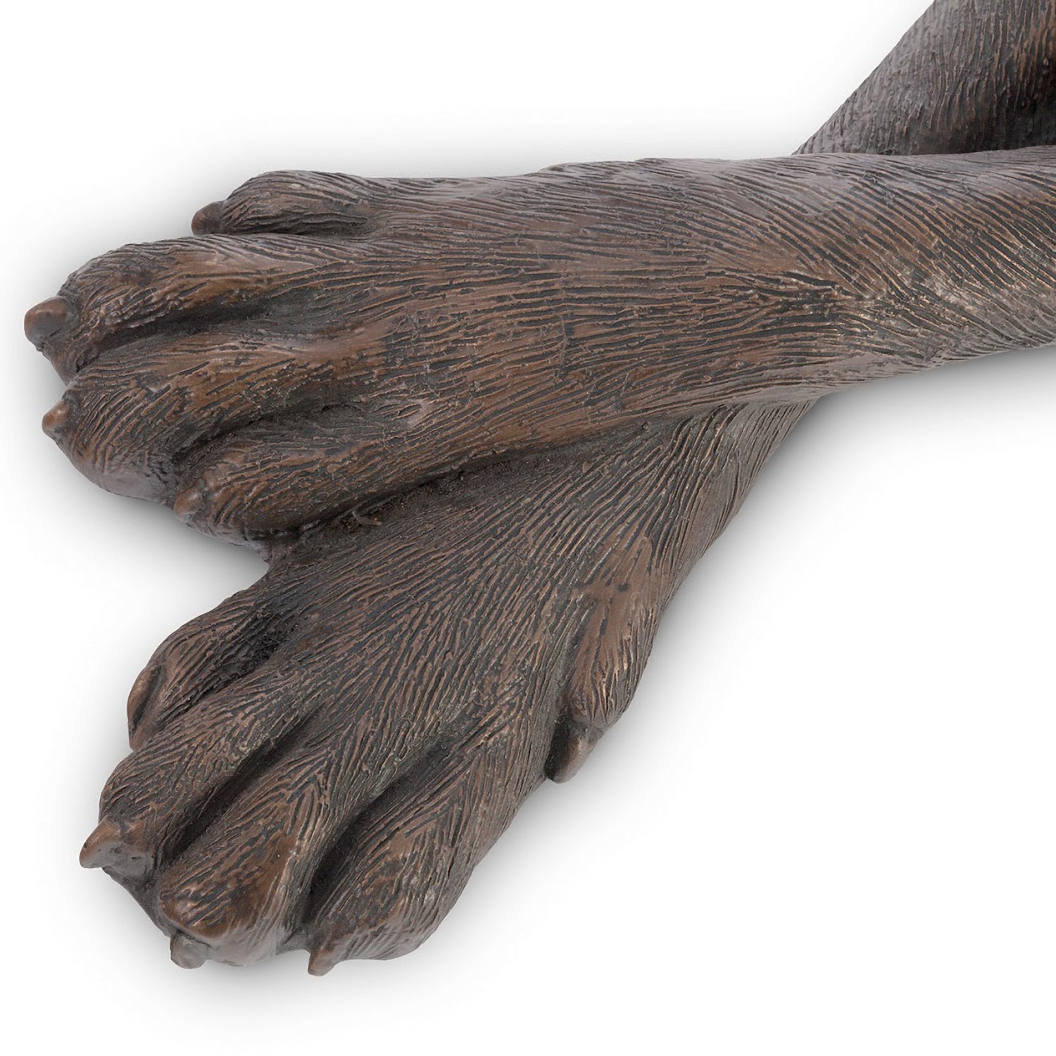 Phillips Collection Great Dane