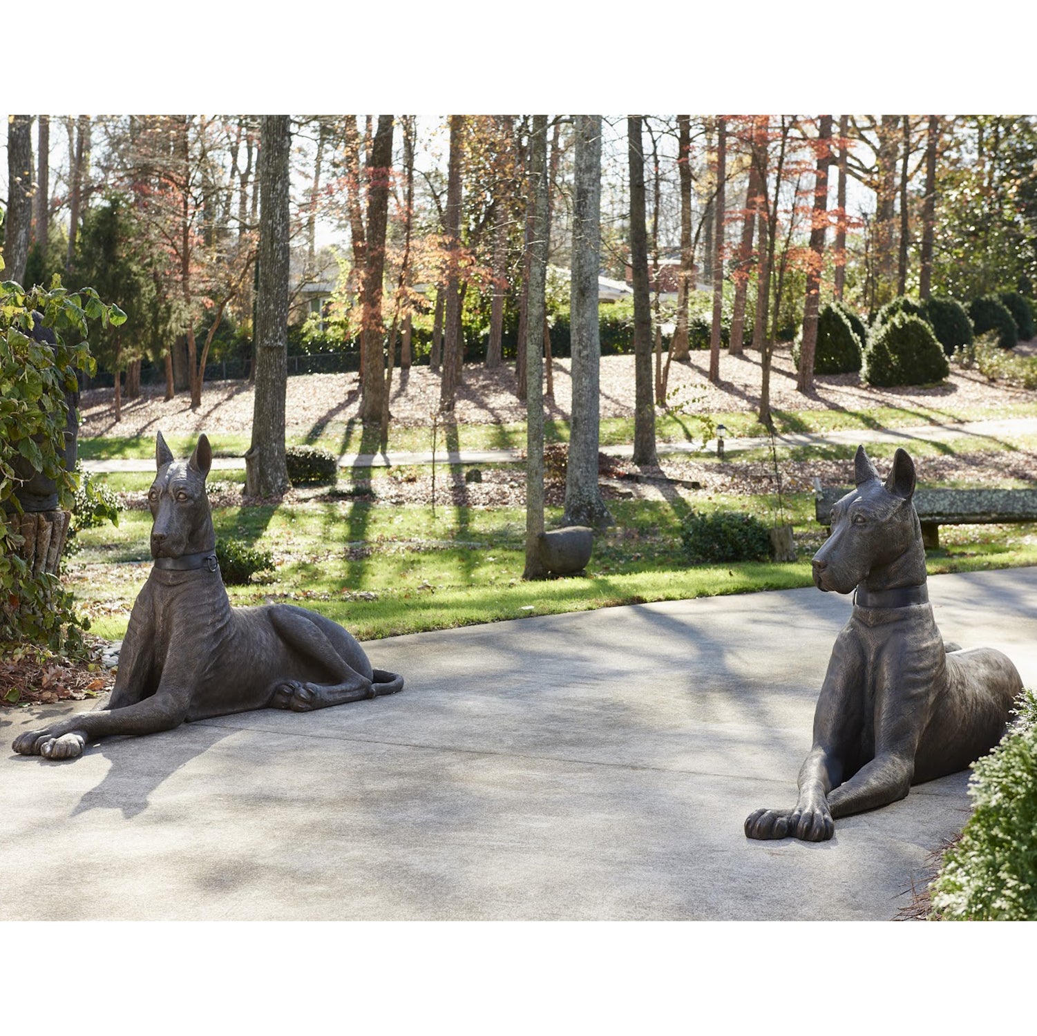 Phillips Collection Great Dane