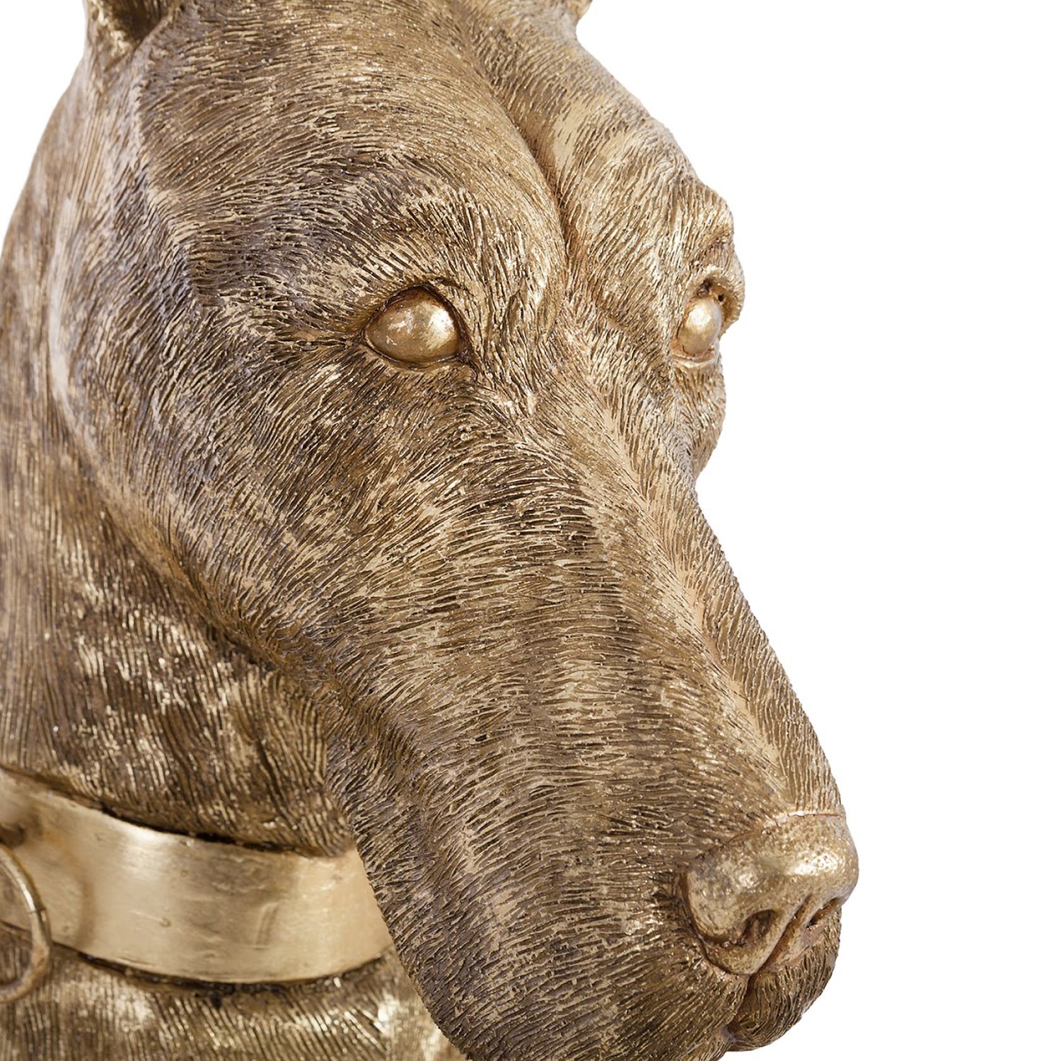 Phillips Collection Great Dane