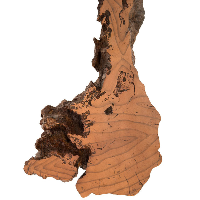 Phillips Collection Medium Burled Root Wall Art