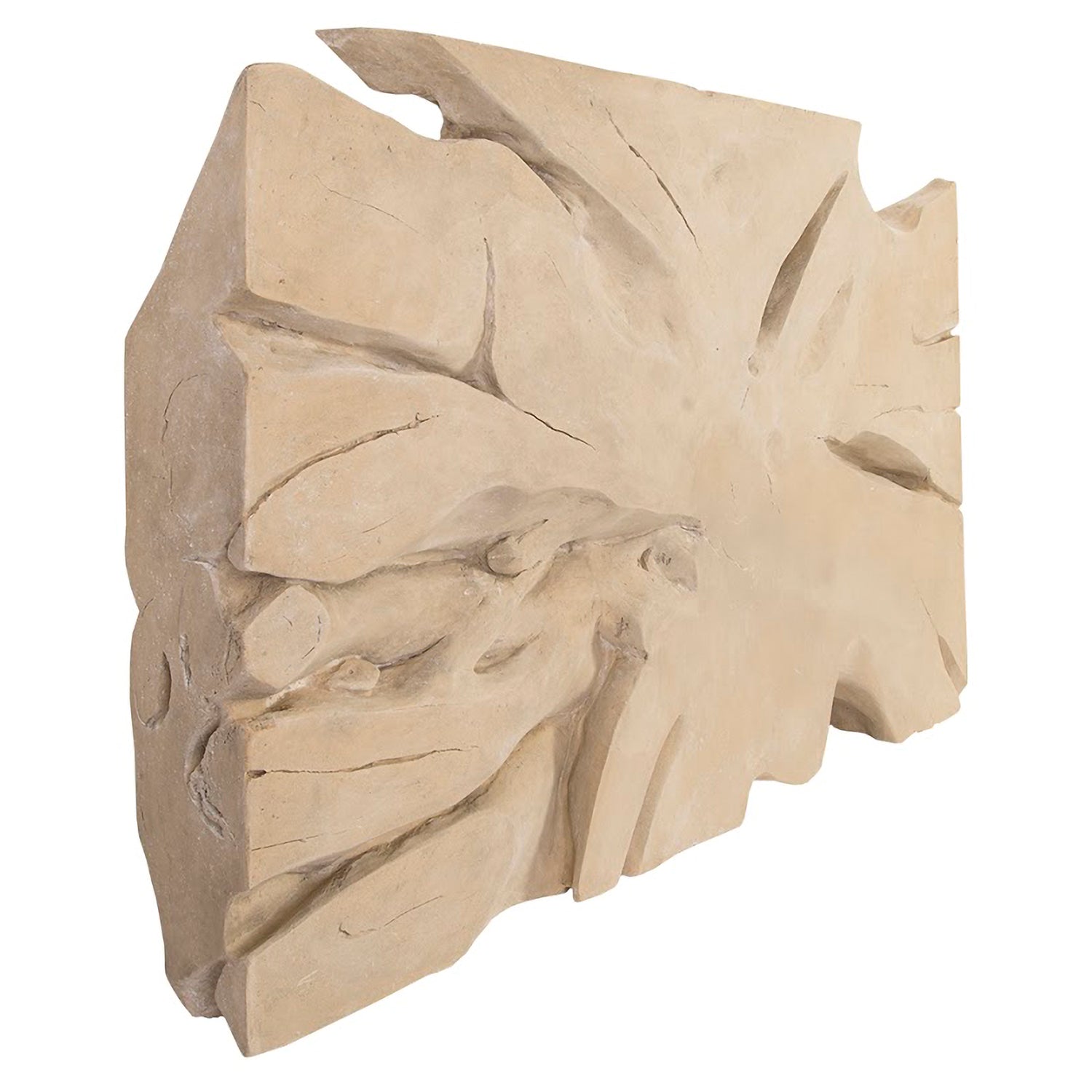 Phillips Collection Colossal Freeform Wall Art