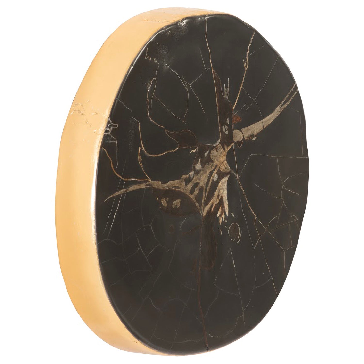 Phillips Collection Cast Petrified Wood Wall Tile