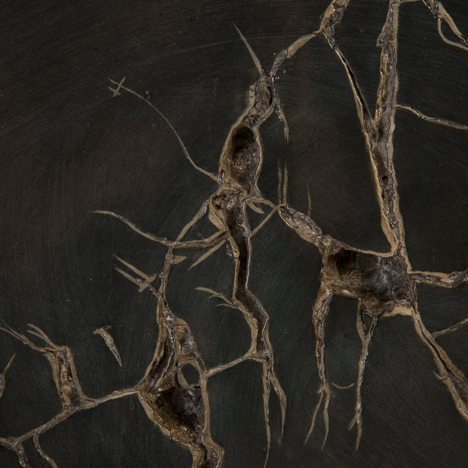 Phillips Collection Cast Petrified Wood Wall Tile