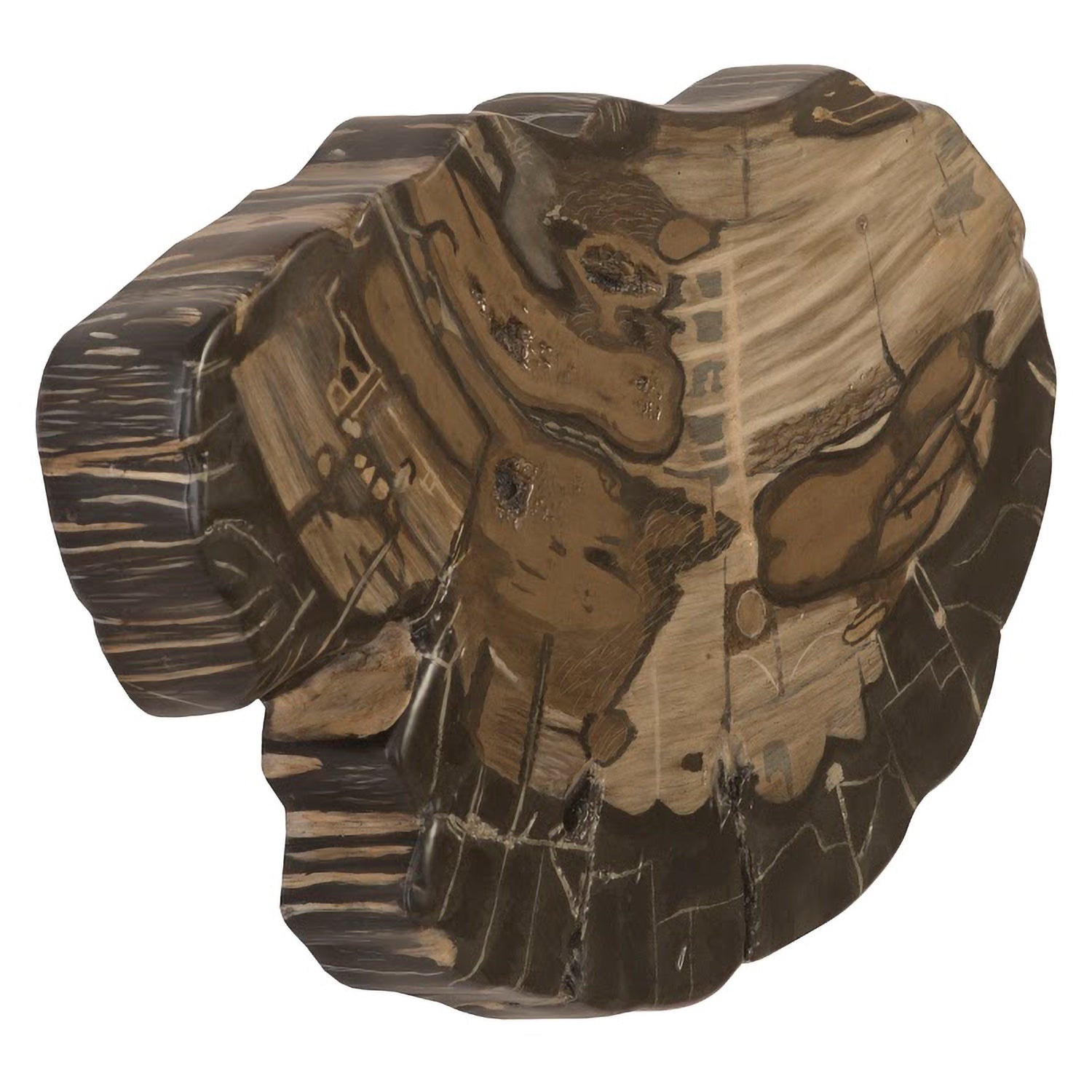 Phillips Collection Brown Cast Petrified Wood Wall Tile