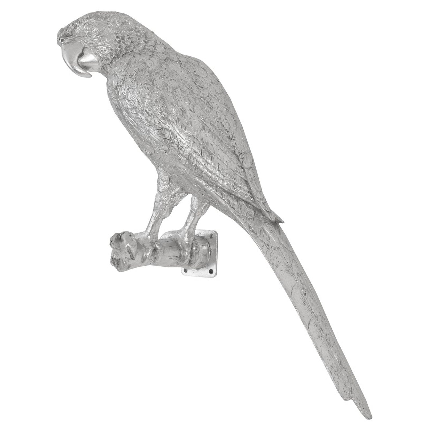 Phillips Collection Parrot Wall Art - Thumbnail 3