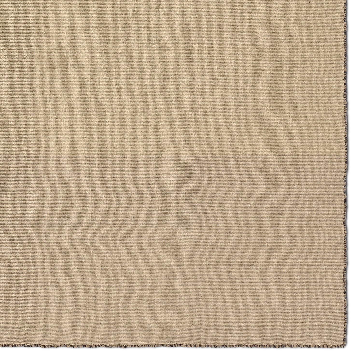 Jaipur Living Pleda Ronin Handwoven Rug