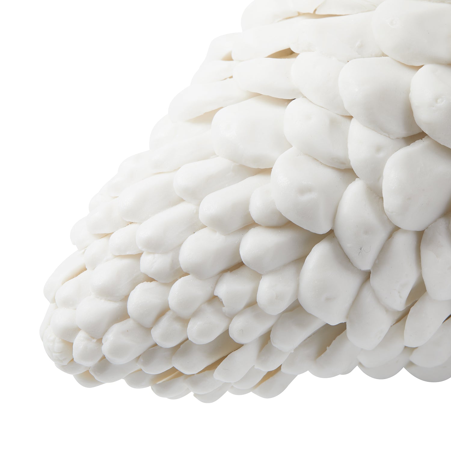 Villa and House Laying Pine Cone