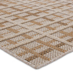 Jaipur Living Paradizo Cecily Indoor/Outdoor Rug