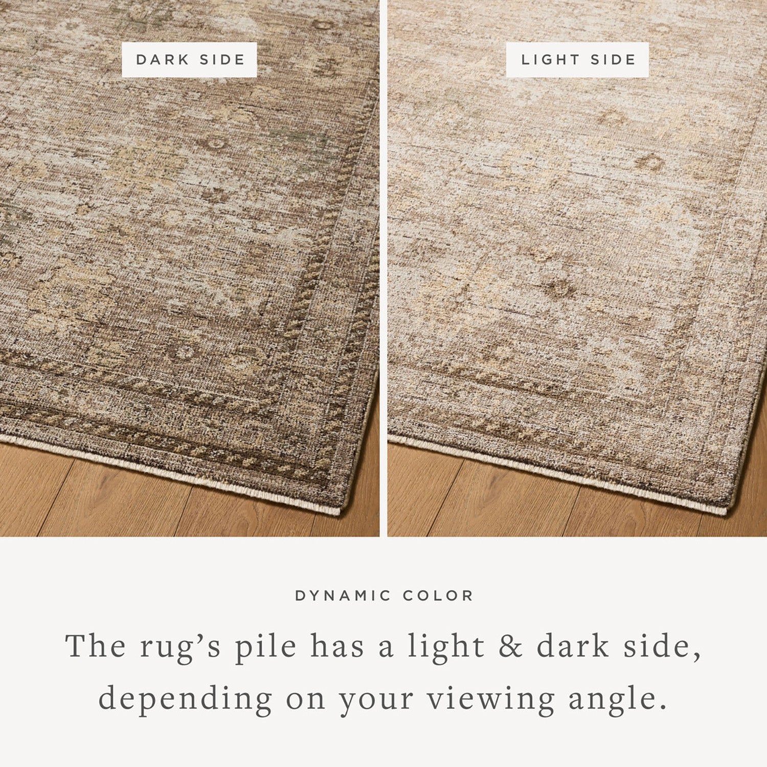 Loloi Priscilla Sand/Earth Power Loomed Rug