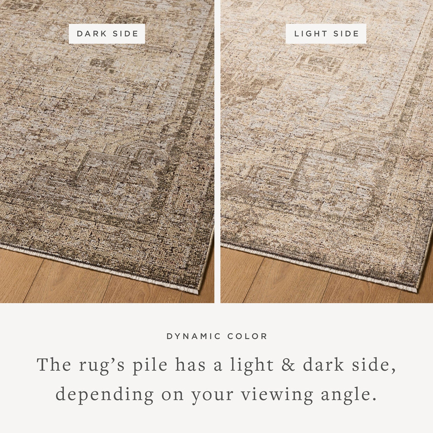 Loloi Priscilla Beige/Earth Power Loomed Rug