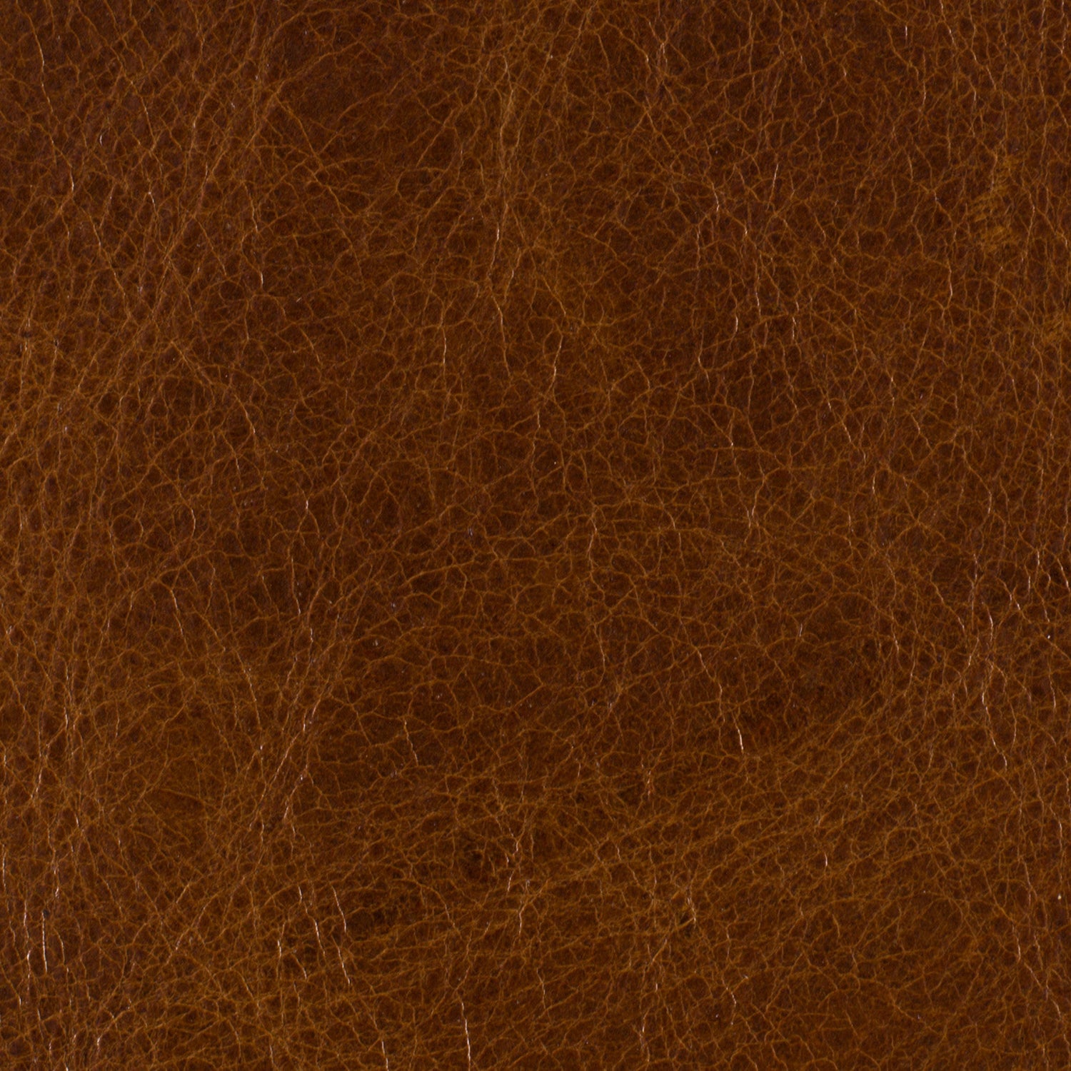 Hooker Furniture Shasta Recliner