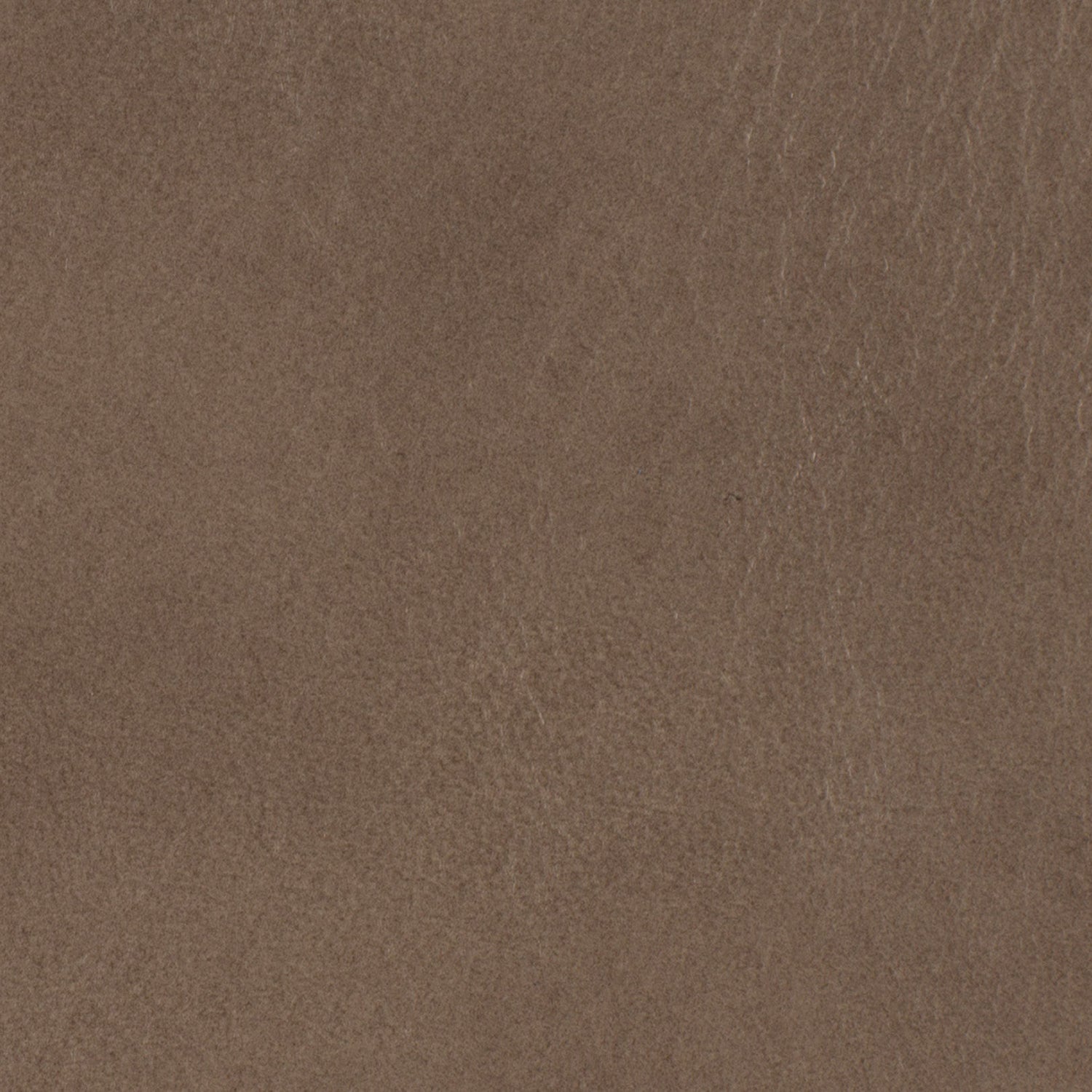 Hooker Furniture Caleigh Recliner